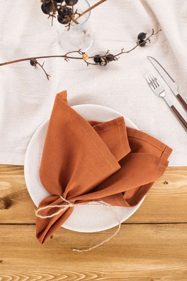 Set of 6 Premium Terracotta Linen Napkins - Image 4